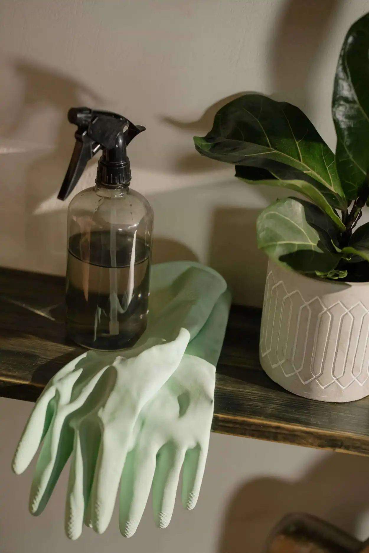 Gloves with sprayer on shelf next to plant